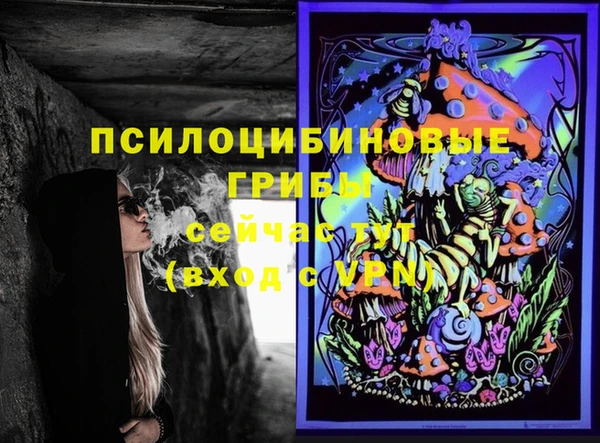 Альфа ПВП Алексин