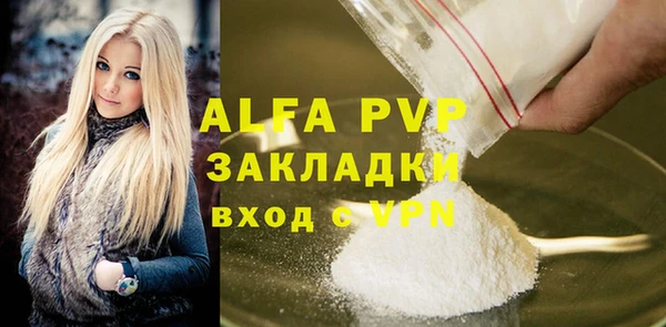 дурь Инта