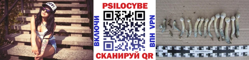 Псилоцибиновые грибы мухоморы shop состав Поронайск